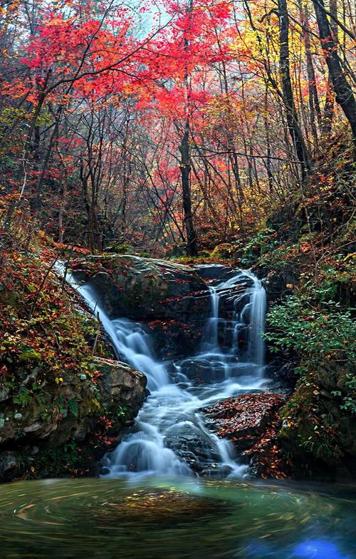 英山县桃花冲风景区-图1