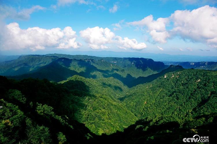 大风堡原始森林风景区-图1