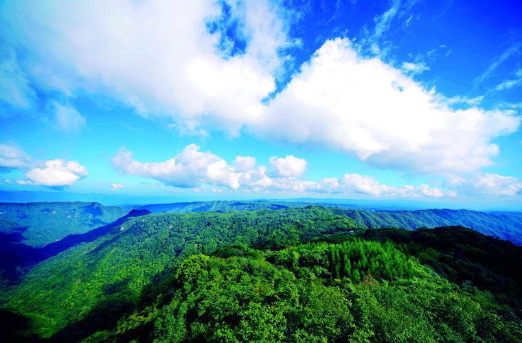 大风堡原始森林风景区-图3