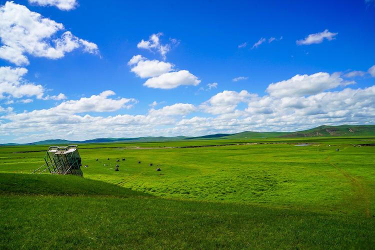 草原风景区-图2