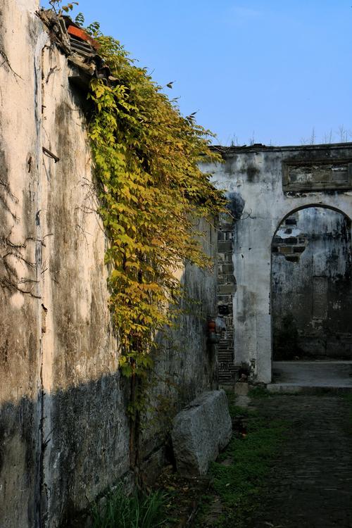 景德镇杨湾风景区-图3