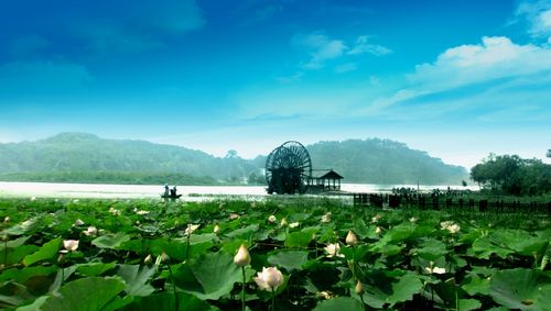 池州风景区-图2