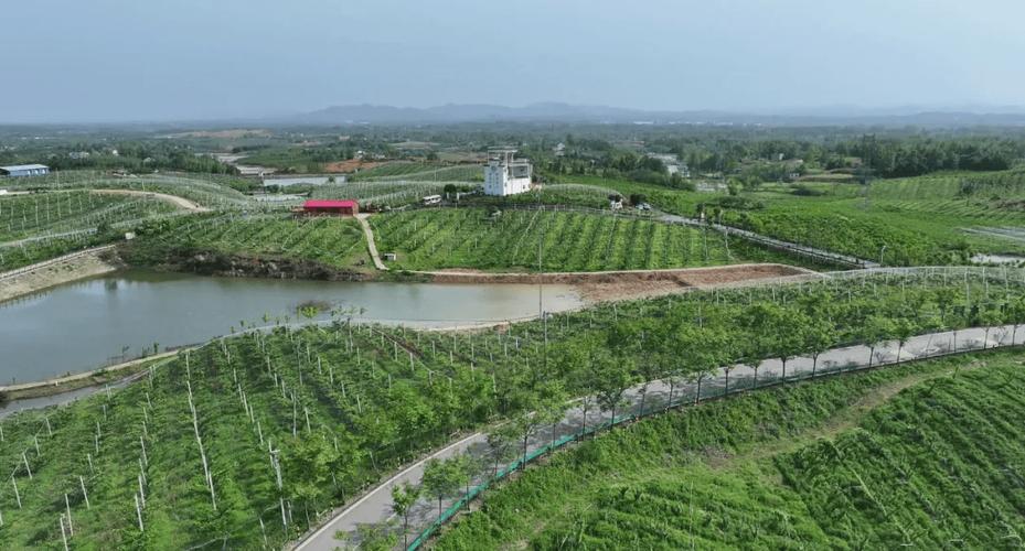 六安响洪甸风景区-图2