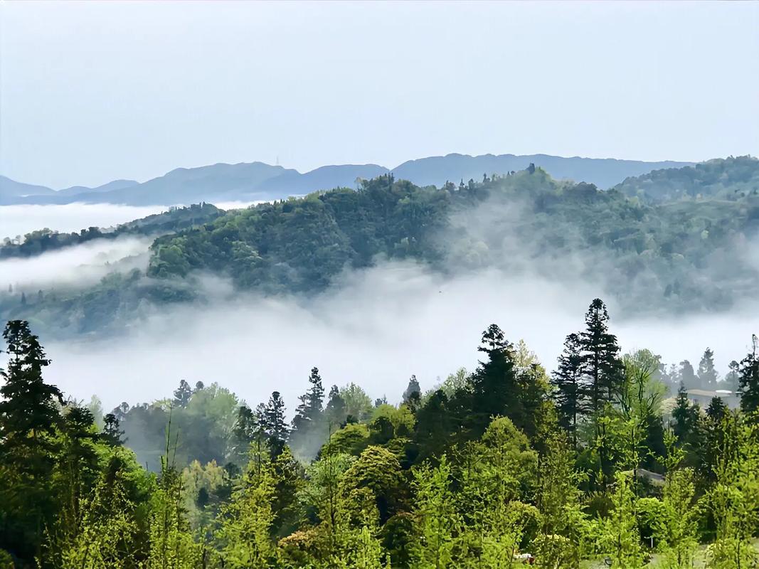 雅安风景区-图3