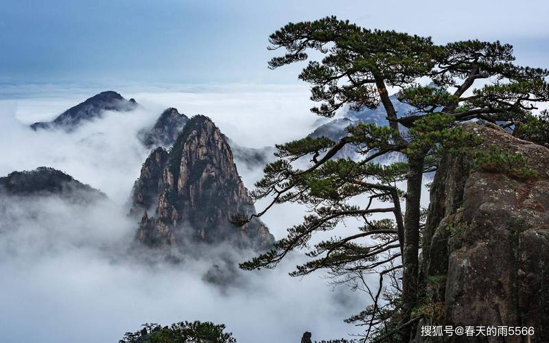 黄山风景区旅游-图1