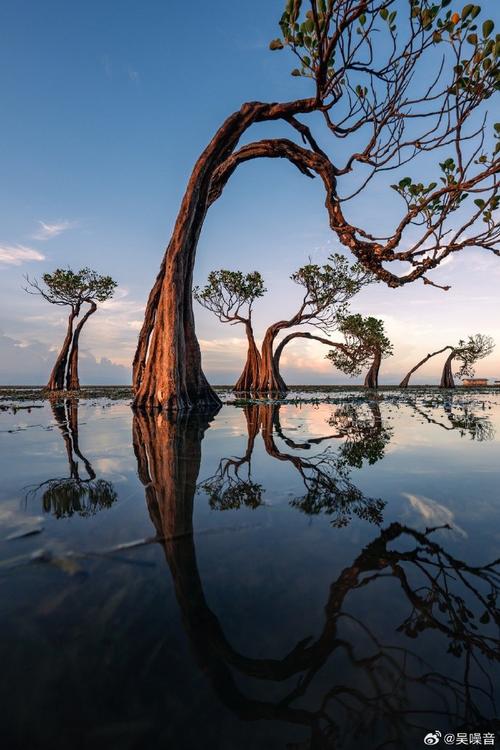 印尼风景区-图1