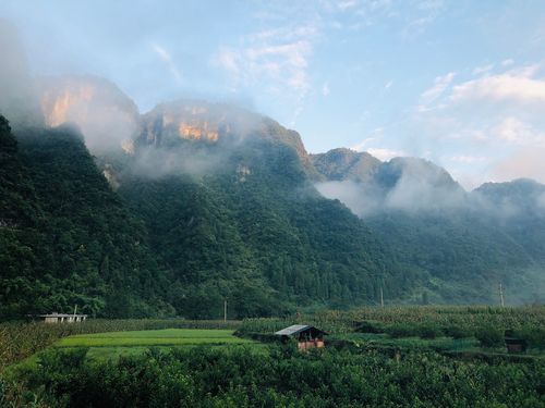 桑植风景区-图1