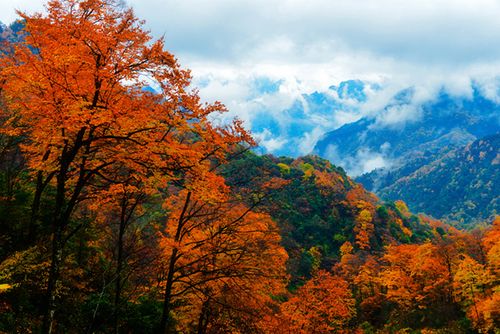 南充红叶风景区-图2