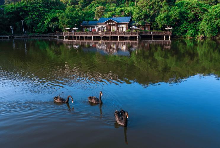 漳州港风景区-图1