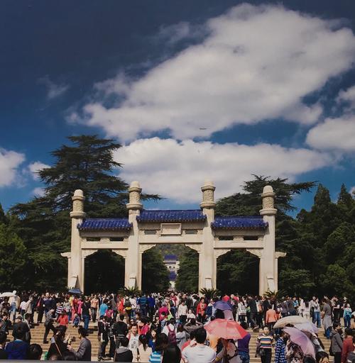 钟山林风景区-图1