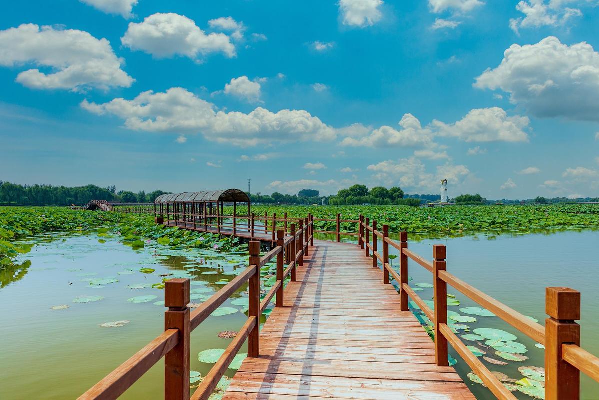 衡水湖风景区-图2