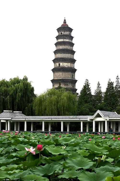 滕州风景区-图2