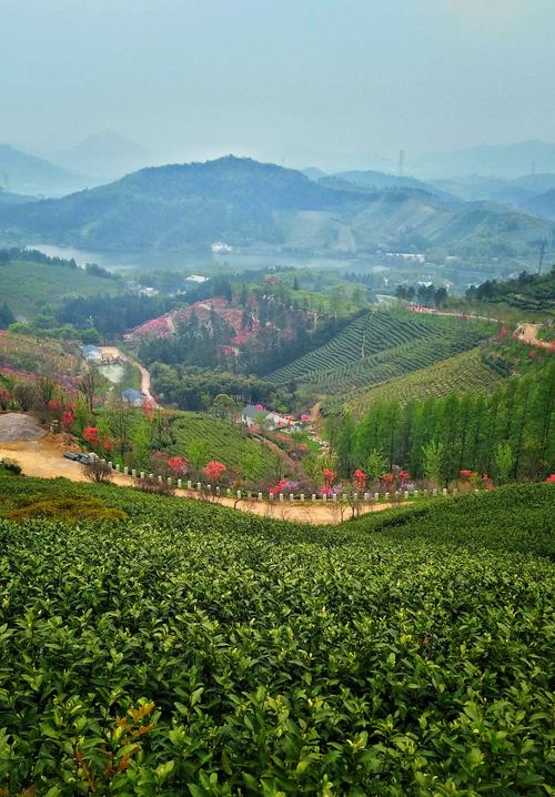 城山沟风景区-图1