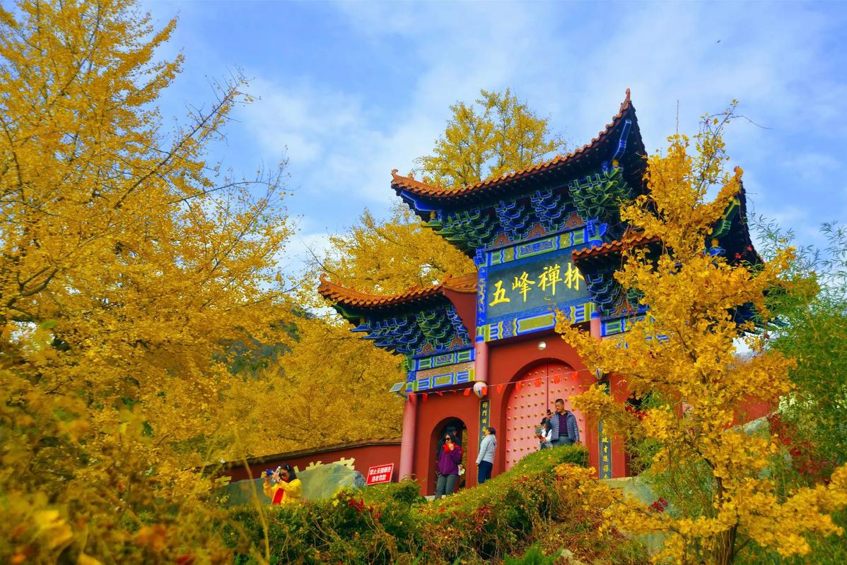 禅林寺风景区-图1