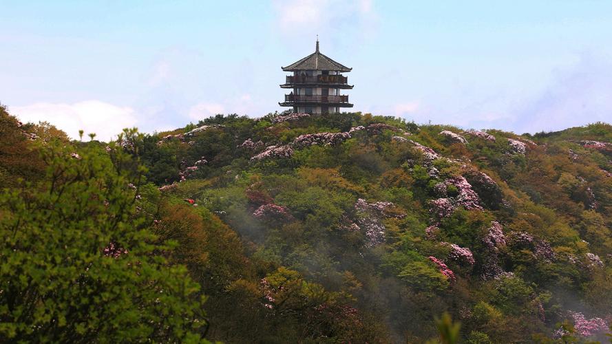 佛山免费风景区-图1