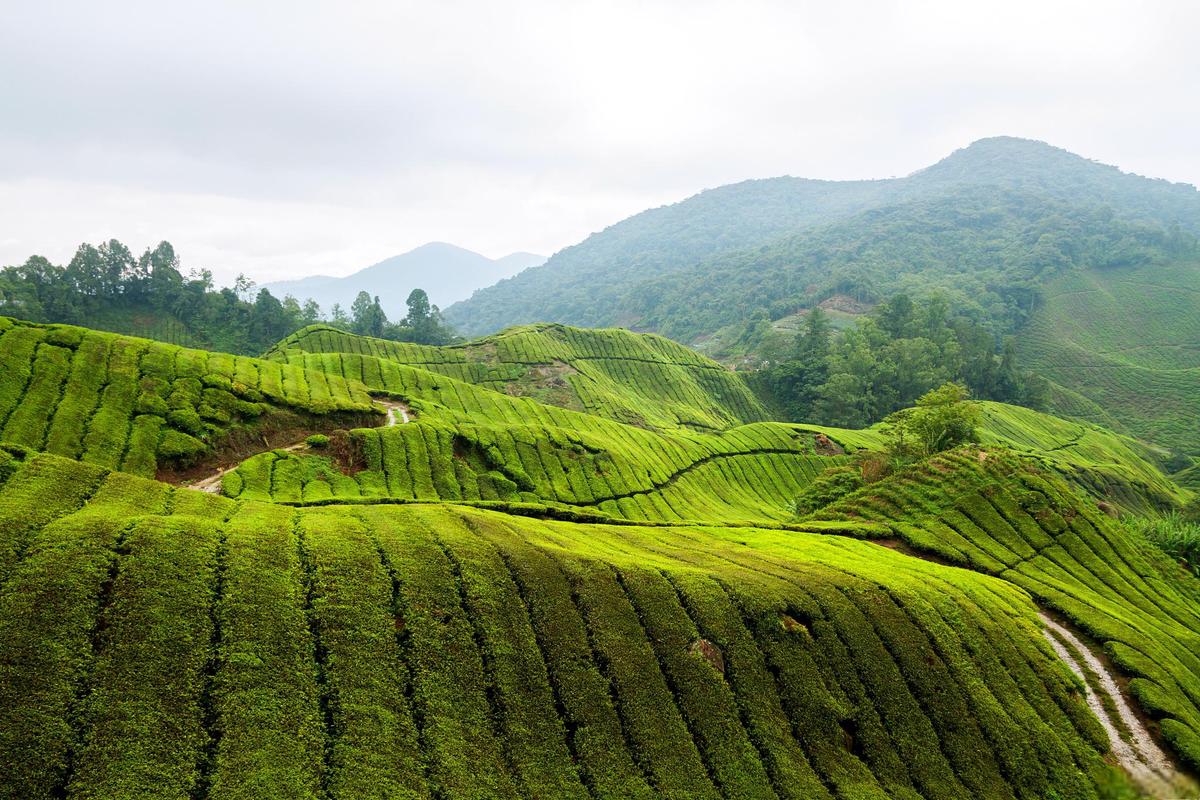 沂南风景区-图3