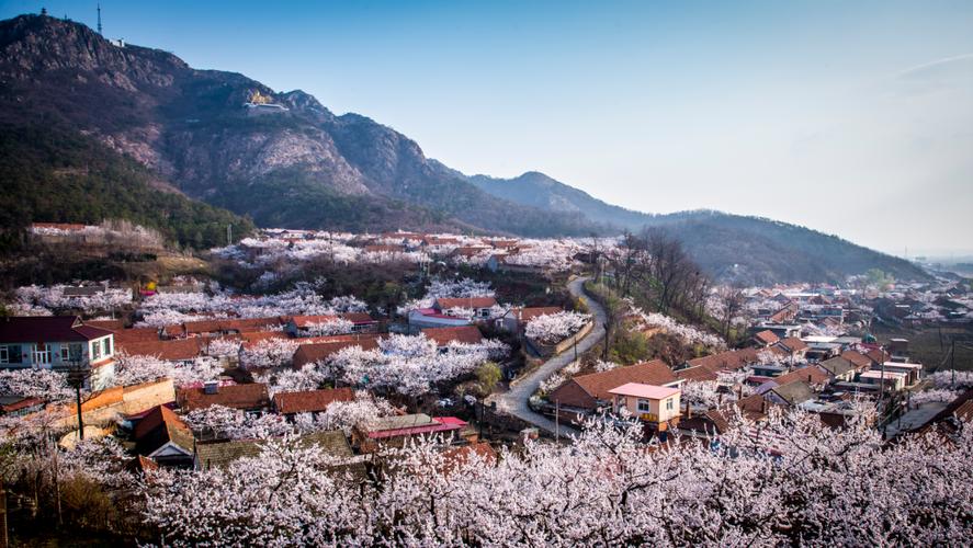 孤山镇风景区-图1