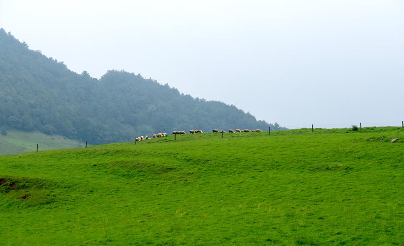 寻甸风景区-图3