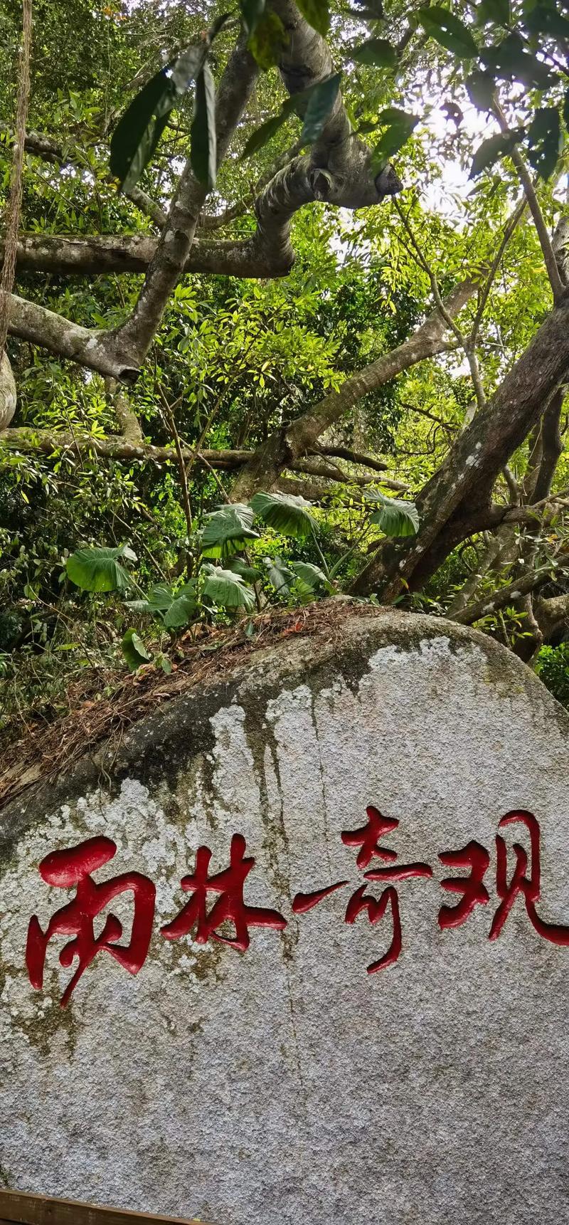 亚龙湾风景区-图1