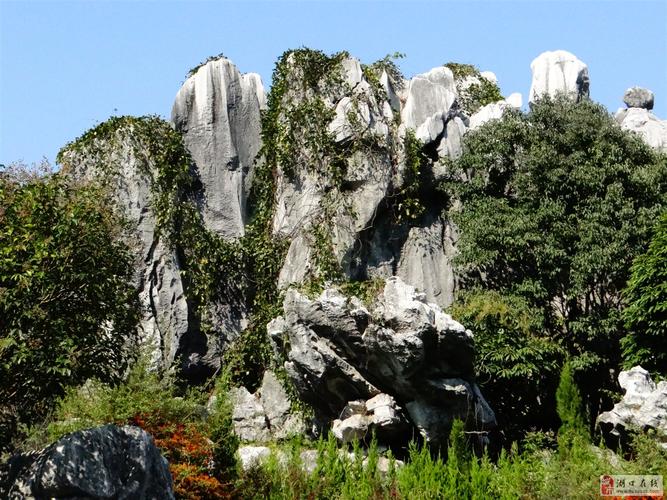 南昌怪石林风景区-图1