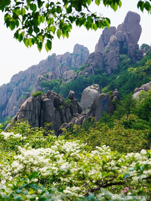 崂山巨峰风景区-图2