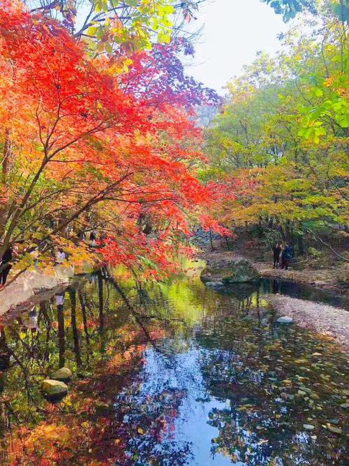 关门山风景区天气-图3