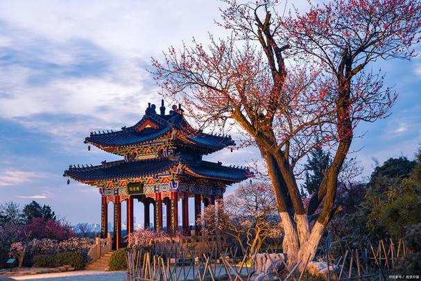 梅花山风景区-图1