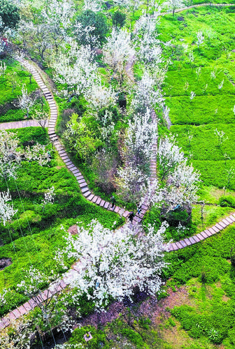 梨花溪风景区-图2