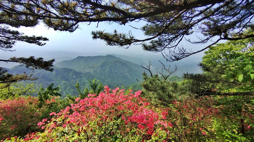 麻城龟山风景区-图3