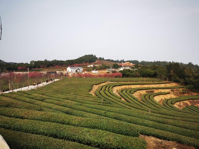 翔安锄山风景区-图2