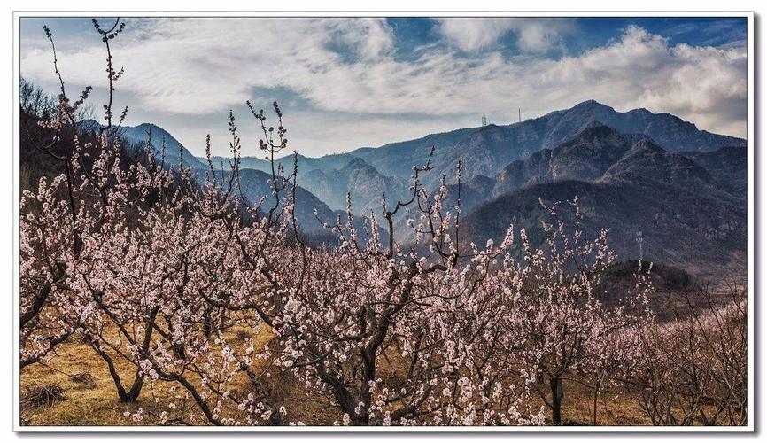 伊祁山风景区-图3