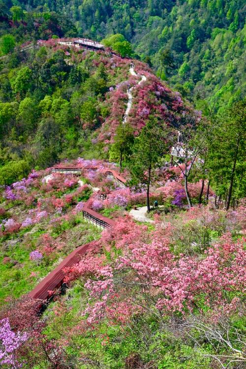 安徽明堂山风景区-图2