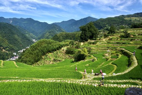 神龙川风景区-图2