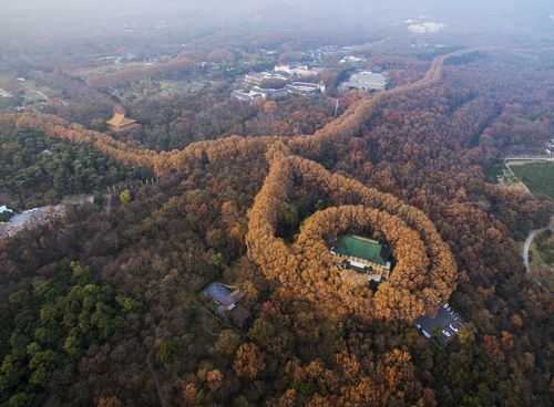 钟山县风景区-图2