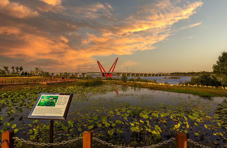 淠河水利风景区-图1