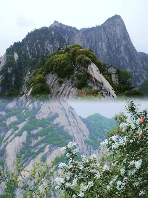 华山旅游风景区-图3