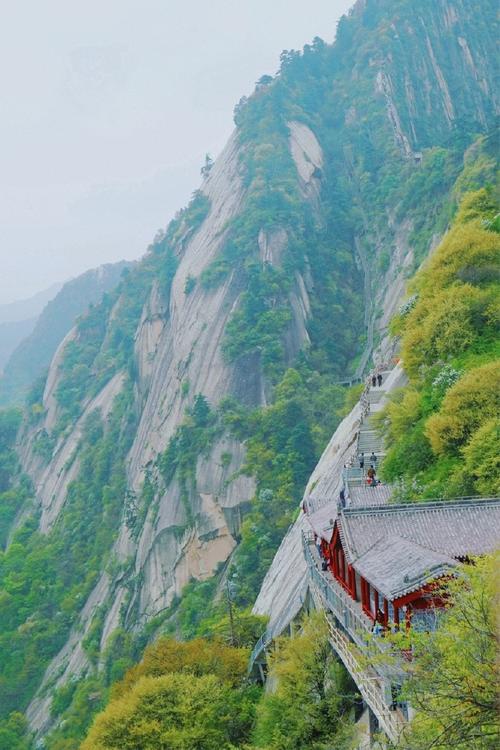 华山旅游风景区-图2