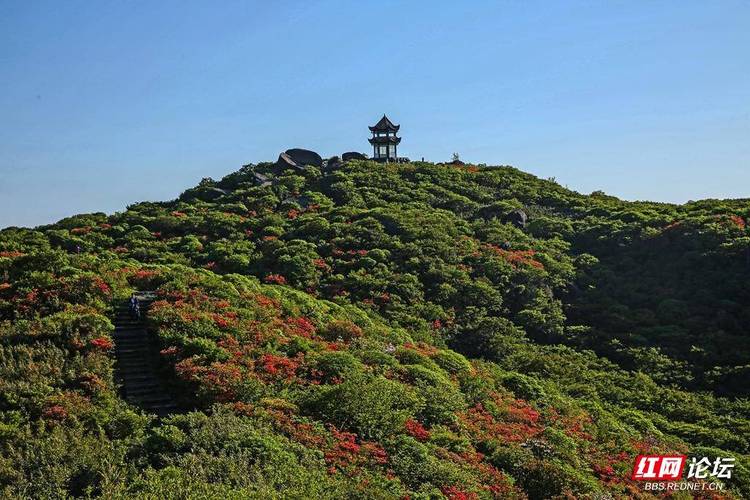 浏阳风景区有那些-图2