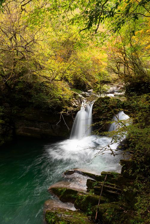 千层河风景区-图1