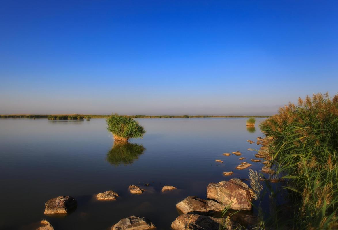 银川沙湖风景区-图1