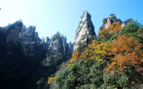 秋山风景区-图3