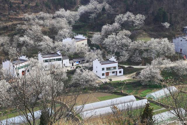 梨花沟风景区-图2