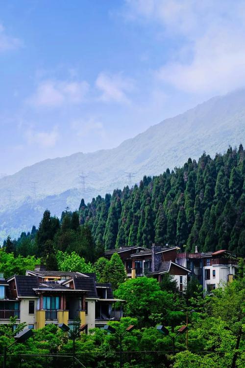 七里坪风景区-图2