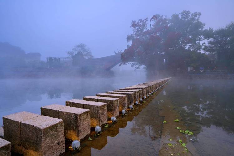 温州泰顺风景区-图1