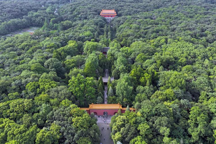 明孝陵风景区-图2