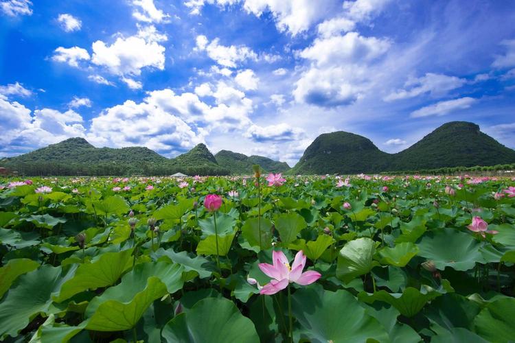 普煮黑风景区-图3