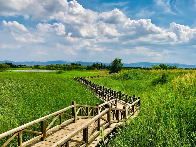 野鸭湖风景区-图2