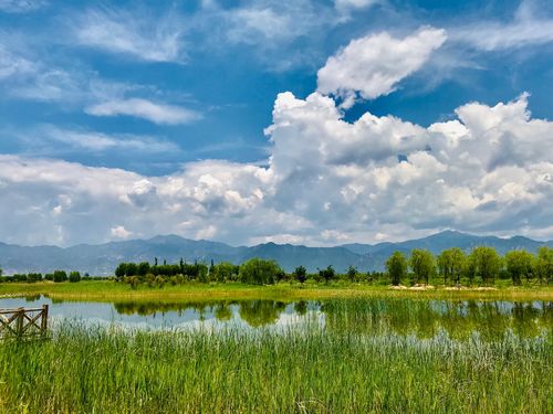 野鸭湖风景区-图3