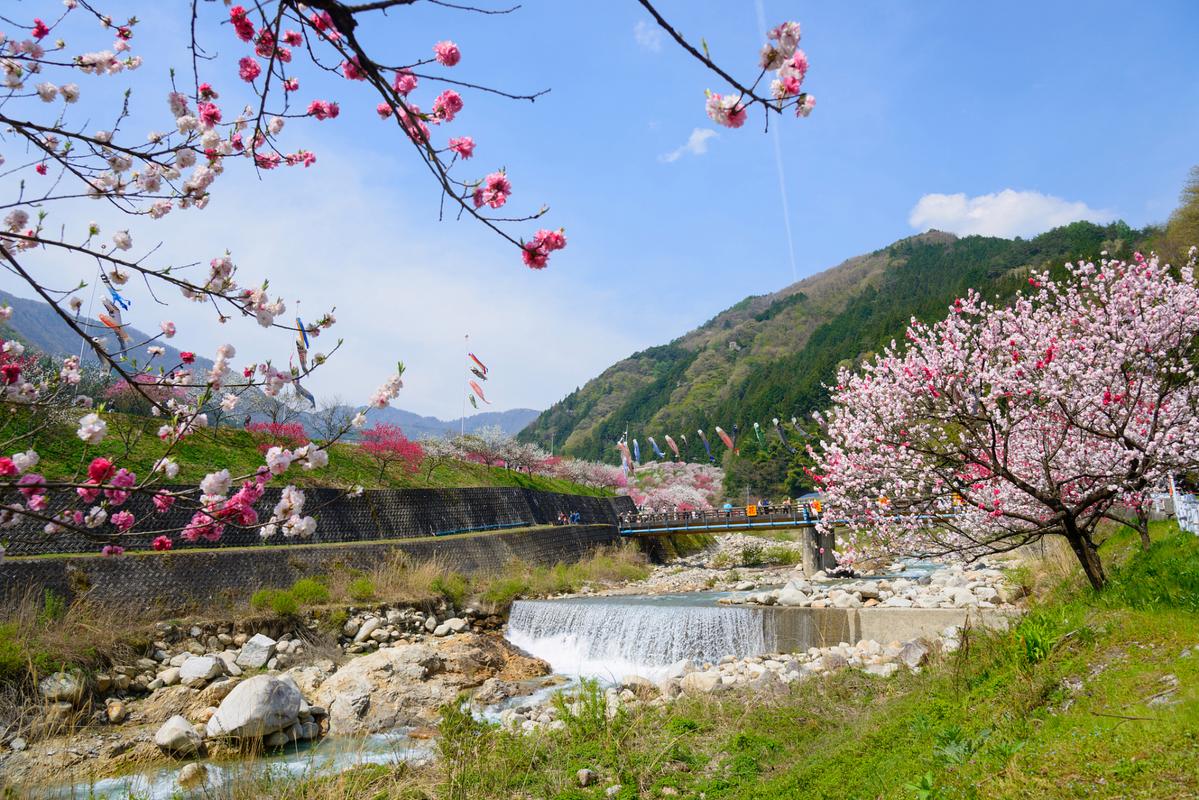 桃花溪风景区-图1