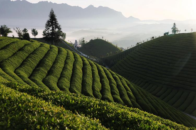 茶山风景区图片-图2